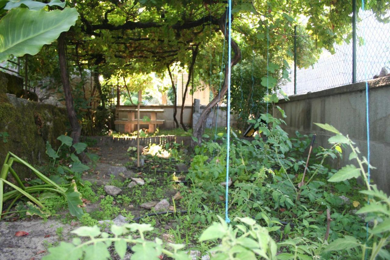Casinha Da Horta Villa Soajo Eksteriør billede