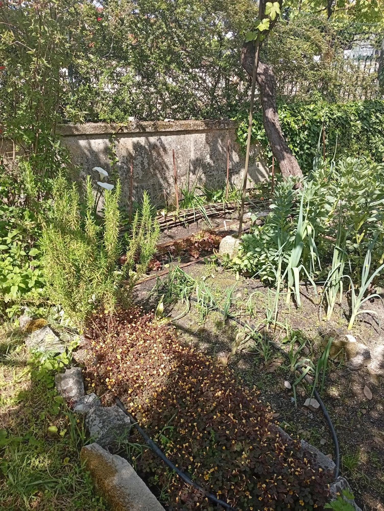 Casinha Da Horta Villa Soajo Eksteriør billede
